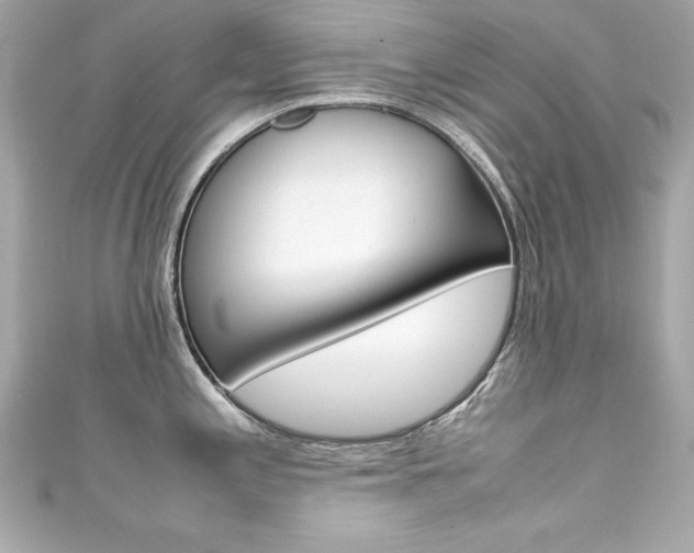 X0000111601197200907161207