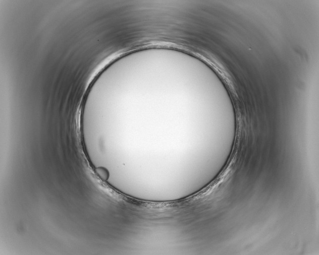 X0000111601198200907161207