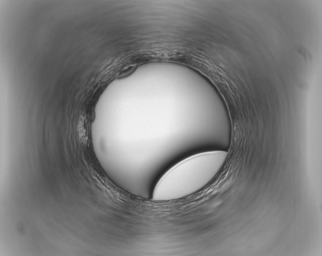 X0000111601202200907161207