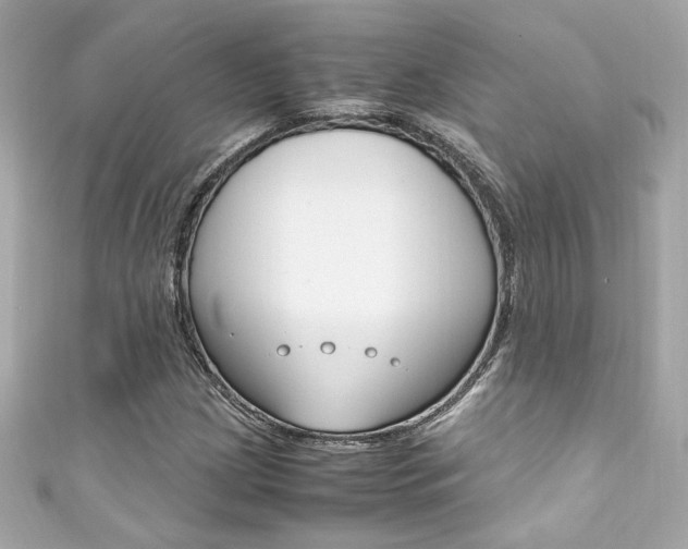 X0000111601209200907161207