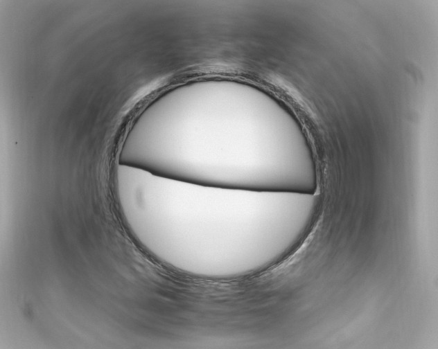X0000111601213200907161207