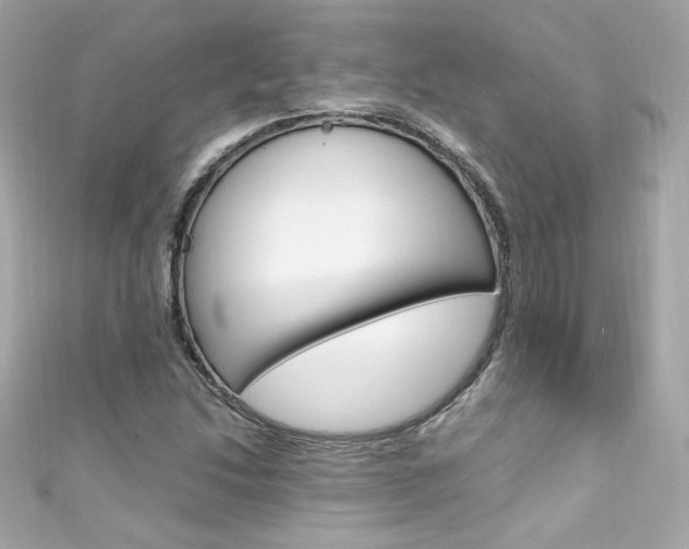 X0000111601214200907161207