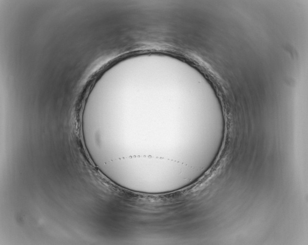 X0000111601215200907161207