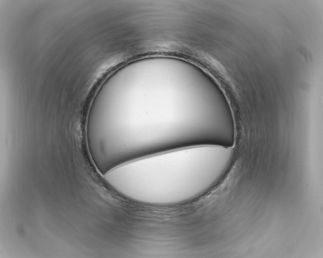 X0000111601218200907161207