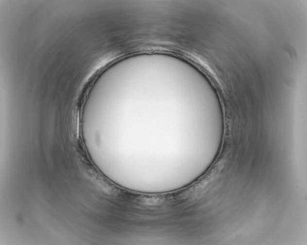 X0000111601219200907161207