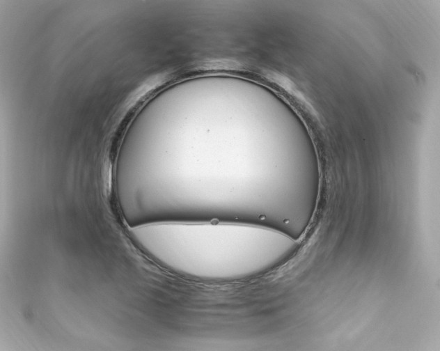 X0000111601221200907161207