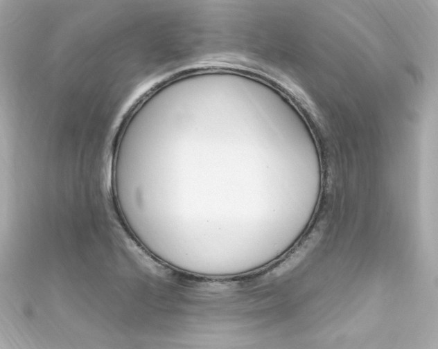 X0000111601224200907161207