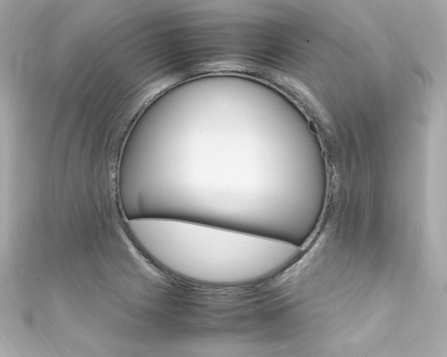 X0000111601225200907161207