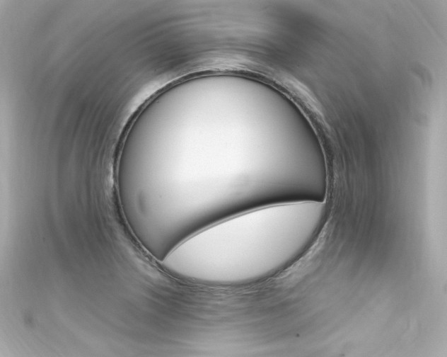 X0000111601226200907161207