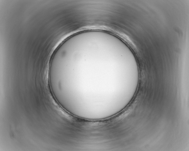 X0000111601228200907161207