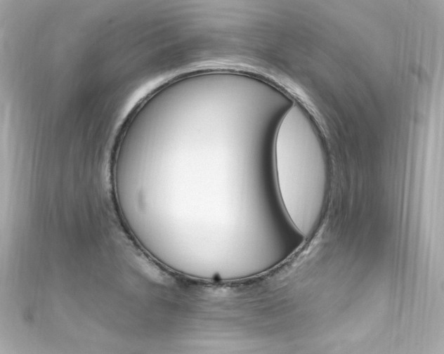 X0000111601230200907161207