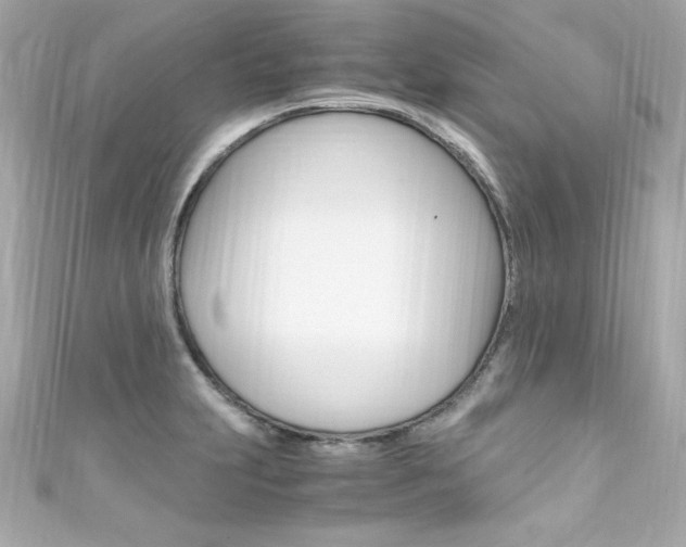 X0000111601231200907161207