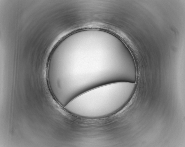 X0000111601232200907161207