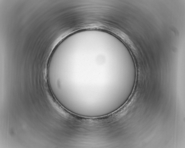 X0000111601234200907161207
