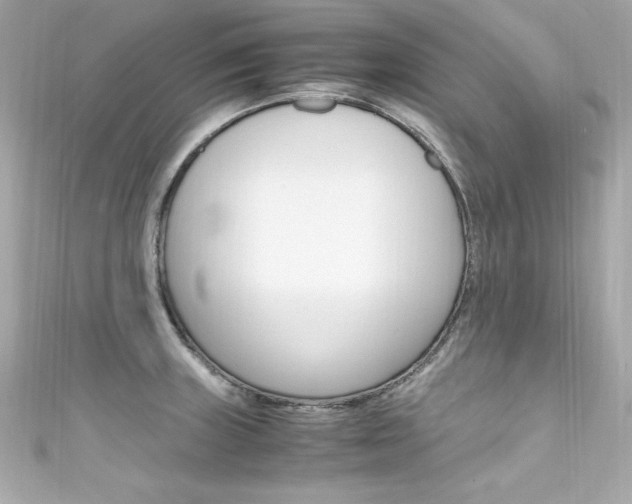 X0000111601235200907161207
