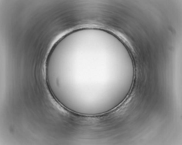 X0000111601238200907161207