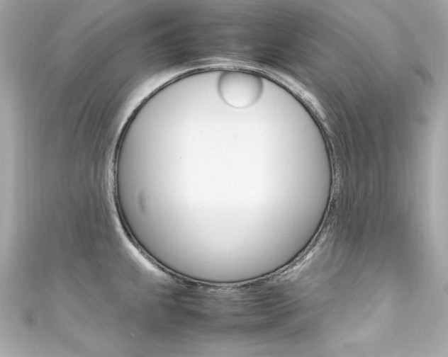 X0000111601239200907161207