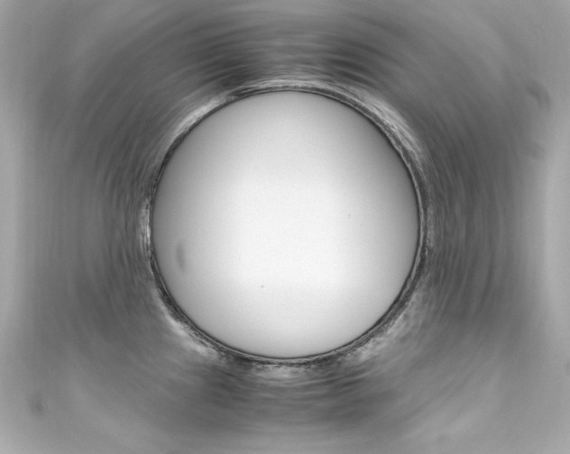 X0000111601241200907161207