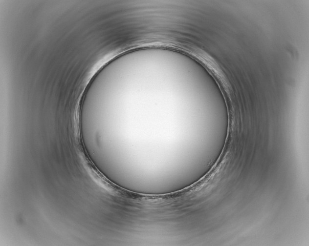 X0000111601242200907161207
