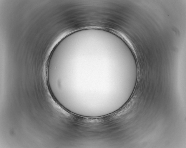 X0000111601243200907161207