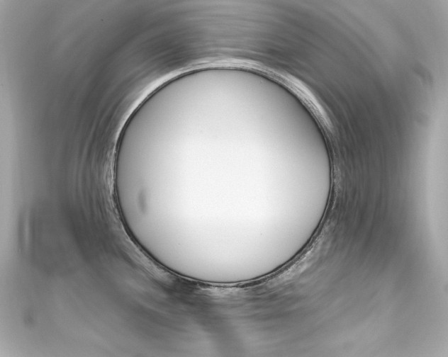 X0000111601244200907161207