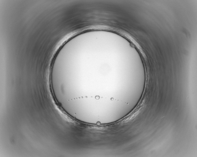 X0000111601245200907161207