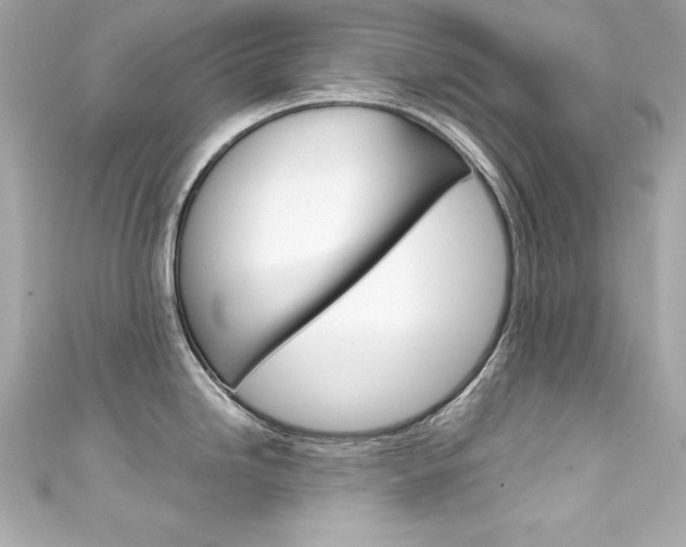X0000111601246200907161207