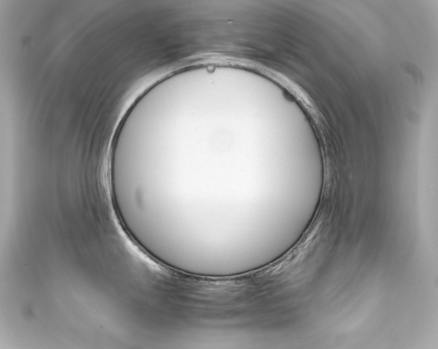 X0000111601247200907161207