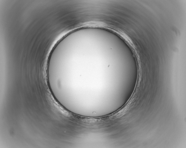 X0000111601248200907161207