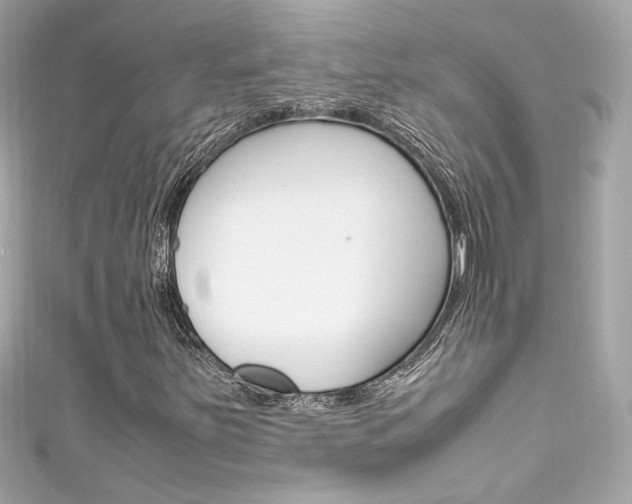 X0000111601251200907161206