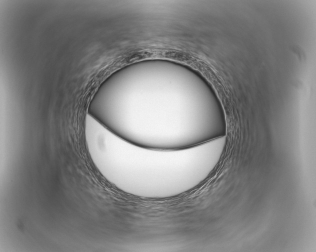 X0000111601253200907161206