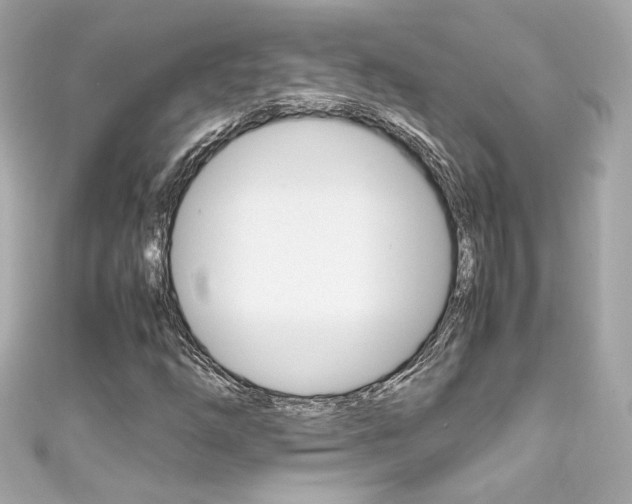 X0000111601254200907161206