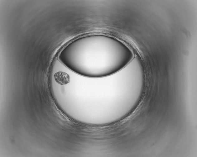X0000111601260200907161206