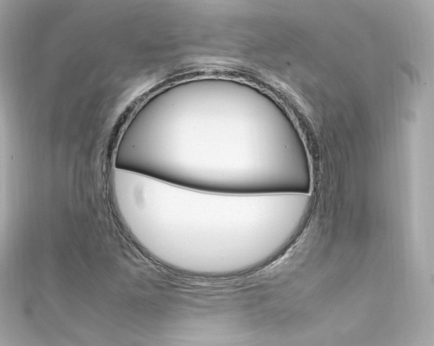 X0000111601261200907161206