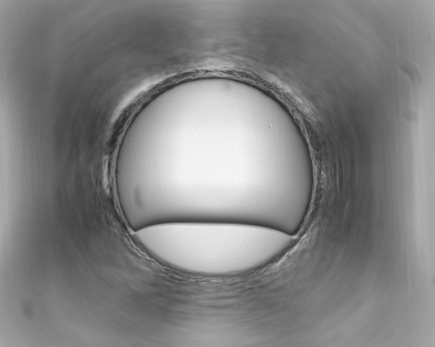 X0000111601262200907161206