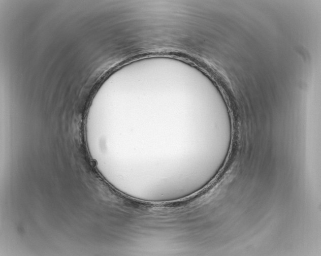 X0000111601265200907161206