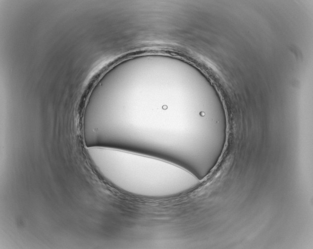 X0000111601267200907161206