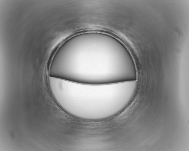 X0000111601269200907161206