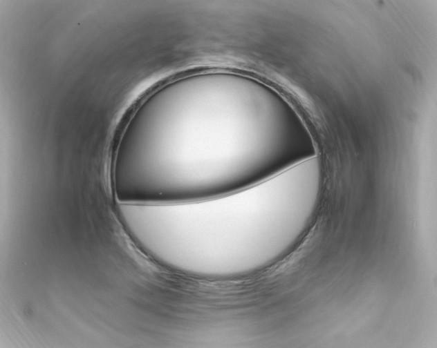 X0000111601272200907161206