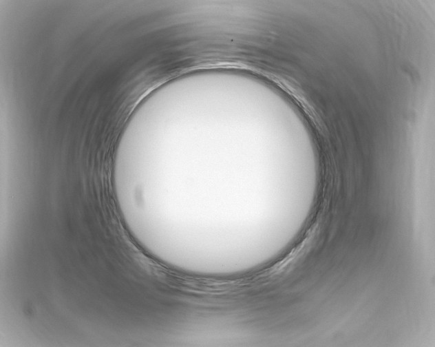 X0000111601273200907161206