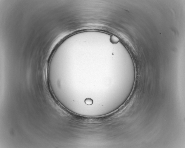 X0000111601275200907161206