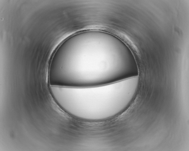 X0000111601276200907161206