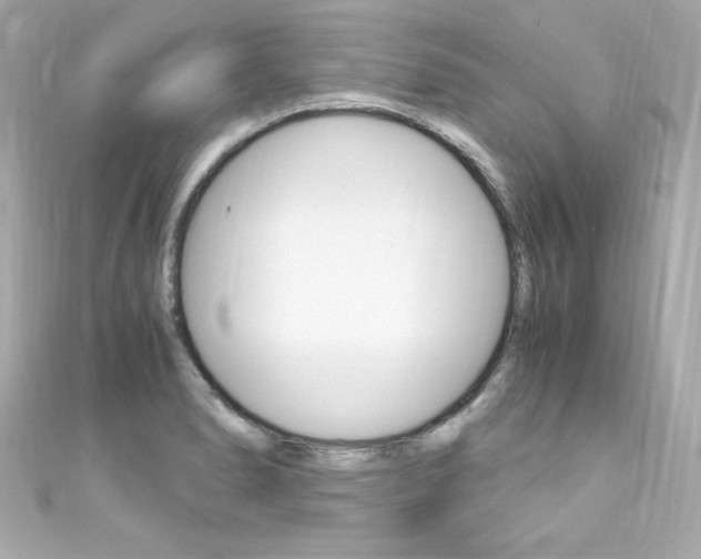 X0000111601278200907161206
