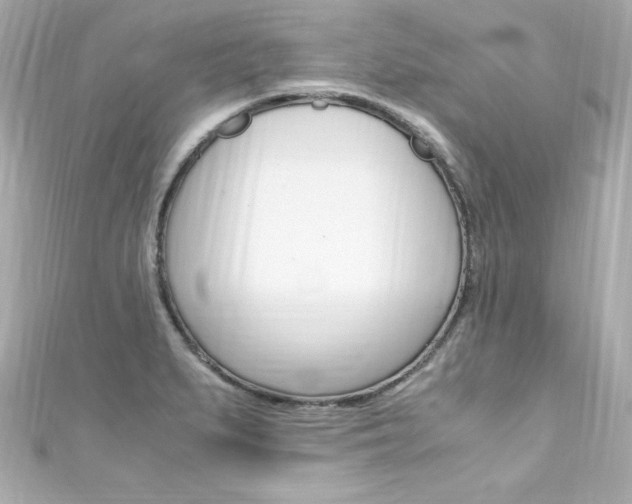 X0000111601279200907161206