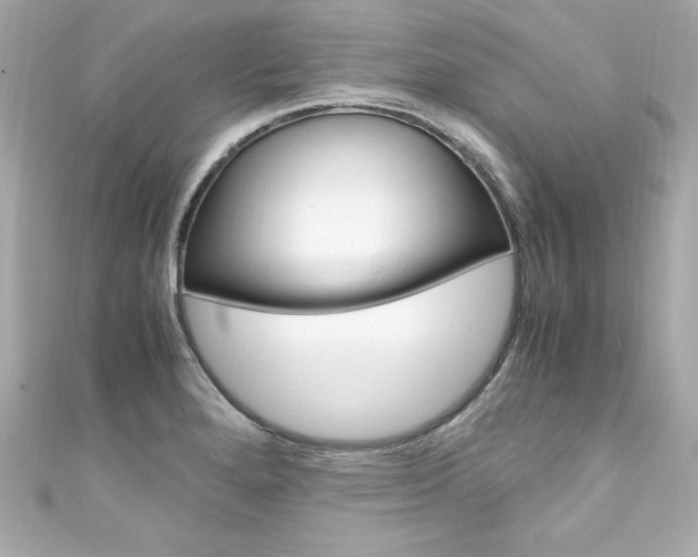 X0000111601280200907161206