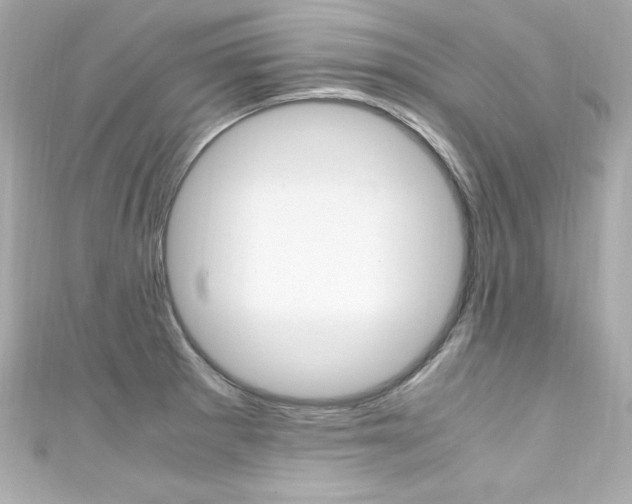 X0000111601281200907161206