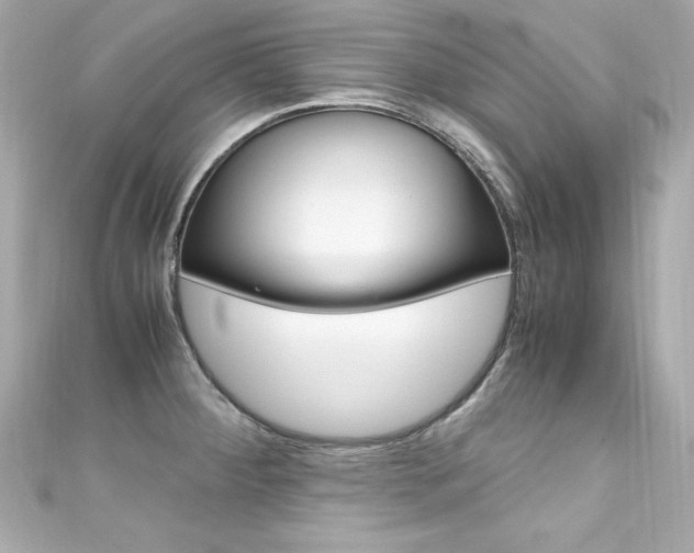 X0000111601284200907161206