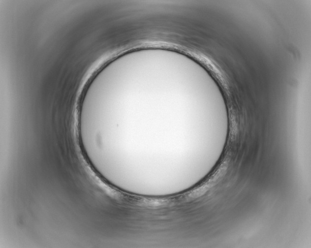X0000111601286200907161206