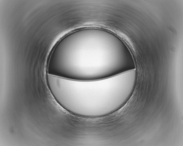 X0000111601288200907161206