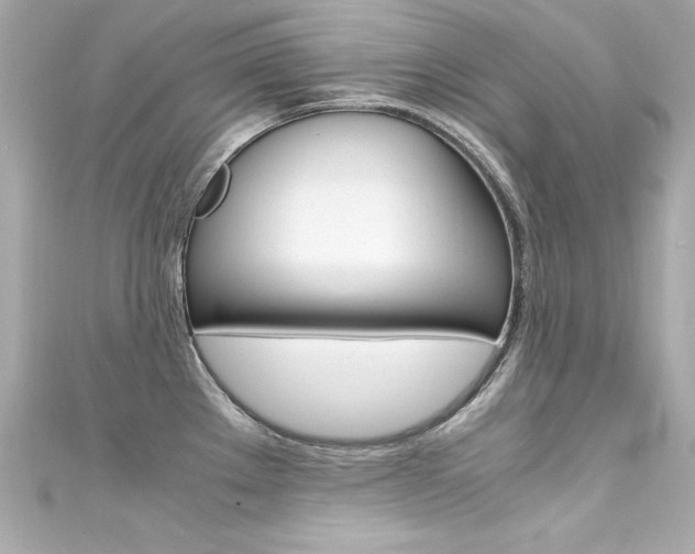 X0000111601289200907161206